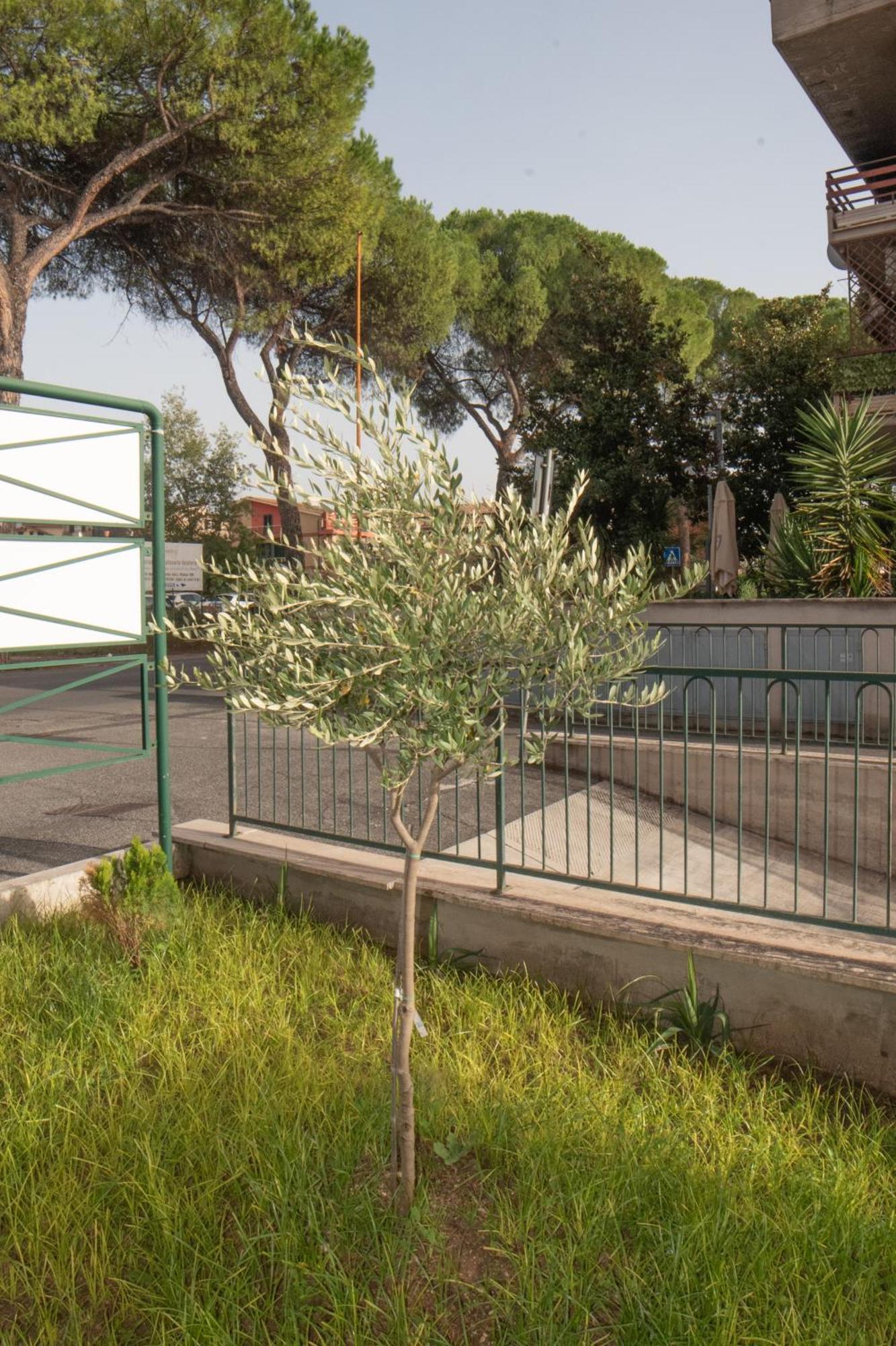 Ferienwohnung Fele'S House Guidonia Exterior foto